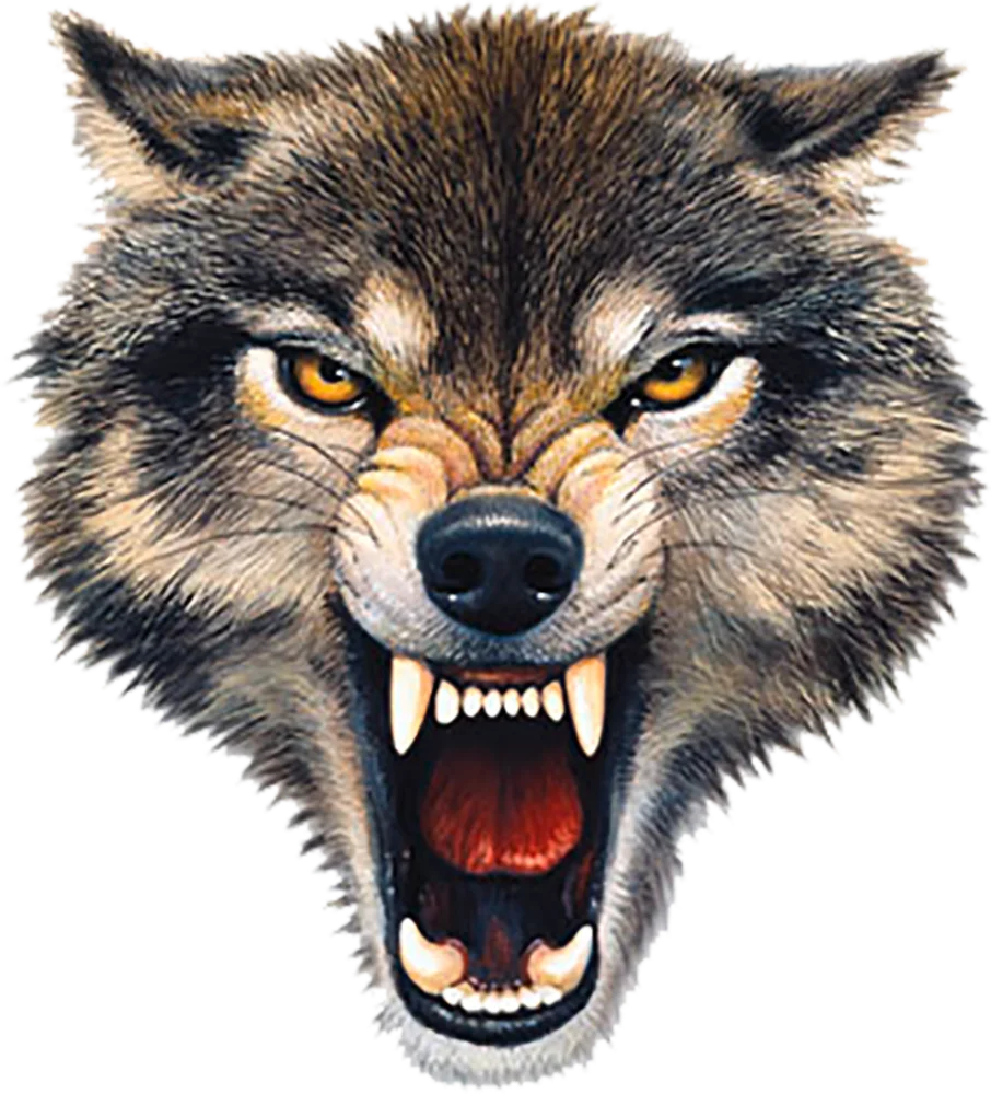 Wolf Bite
